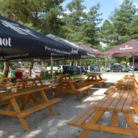 Stribrny Rybnik-1 By Interhome Holiday home Hradec Kralove